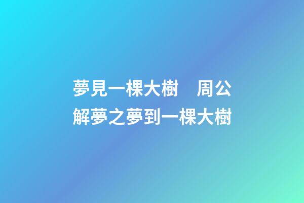 夢見一棵大樹　周公解夢之夢到一棵大樹